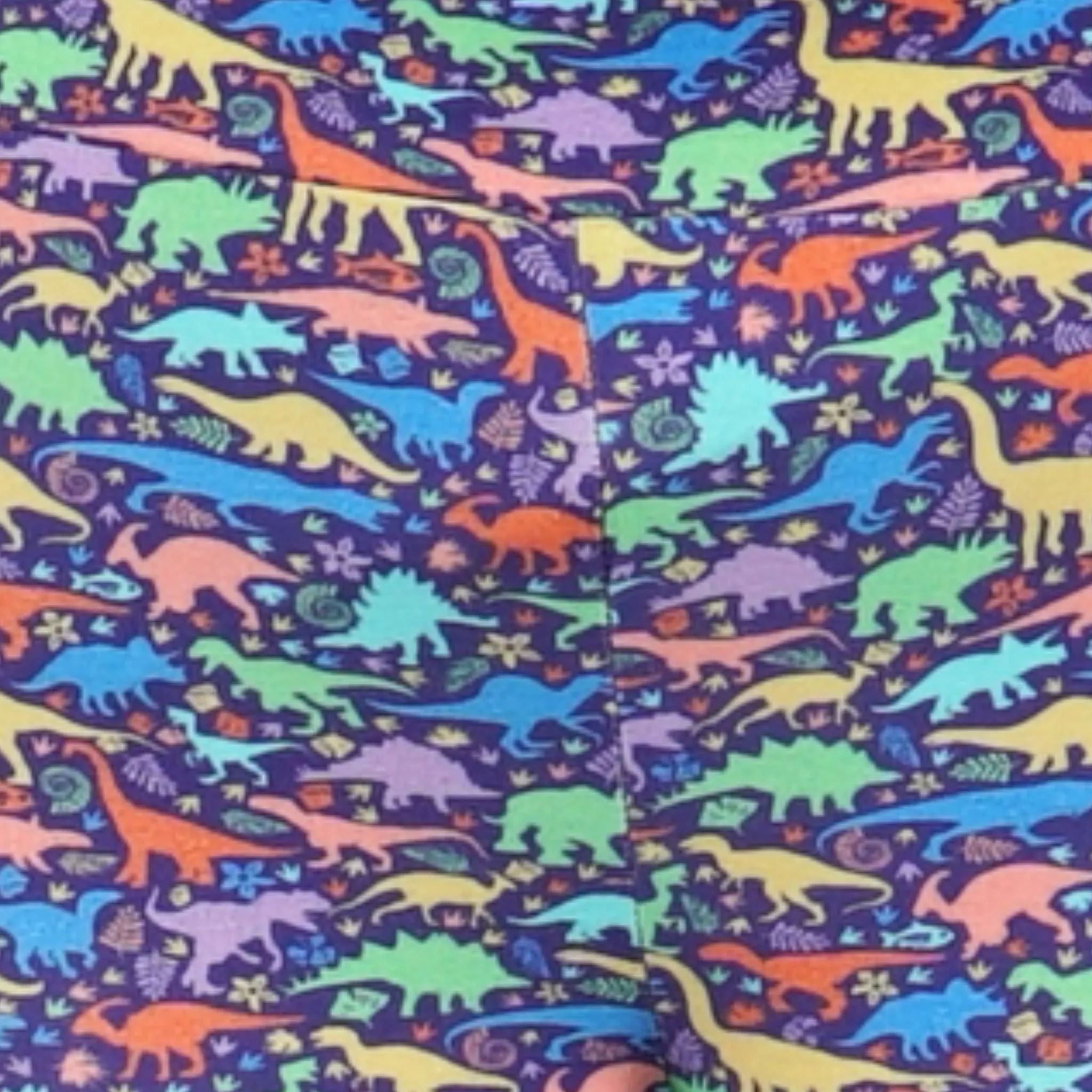 Dinosaurs & Fossils Adults Leggings with Pockets