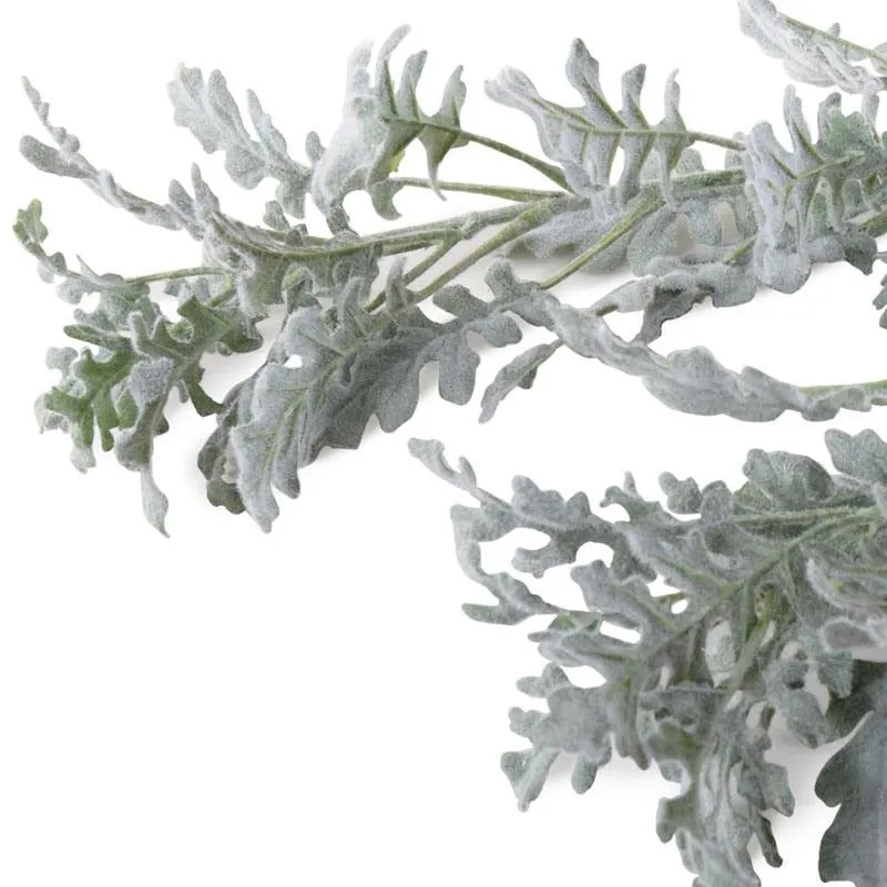 Dusty Miller Spray, 30" L