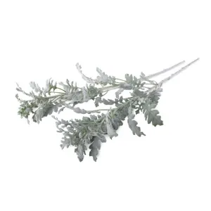 Dusty Miller Spray, 30" L