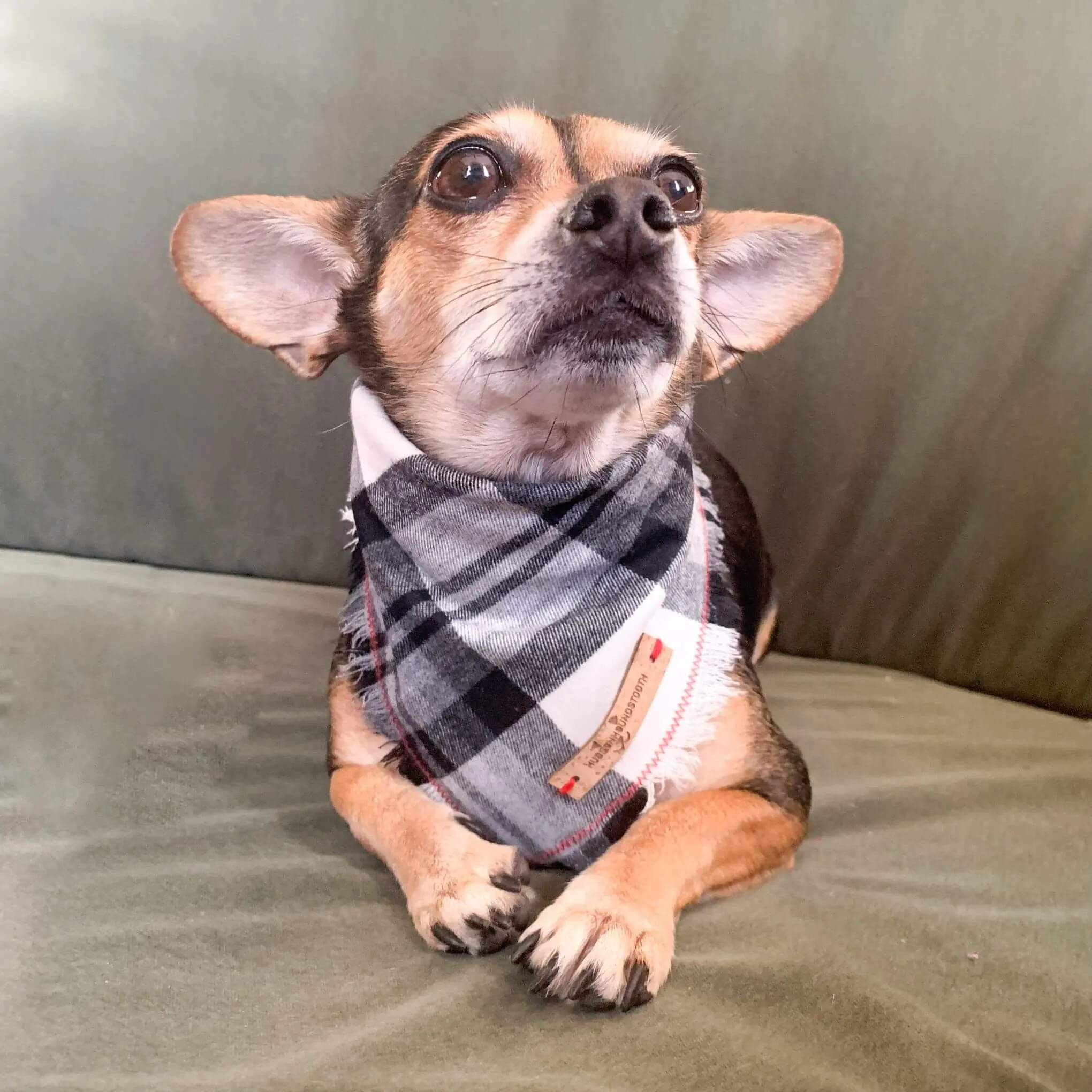 Monochrome Elegance Flannel Bandana