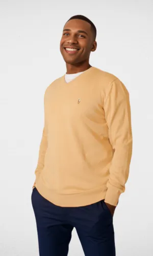 Polo V-Neck Pullover RL - Beige