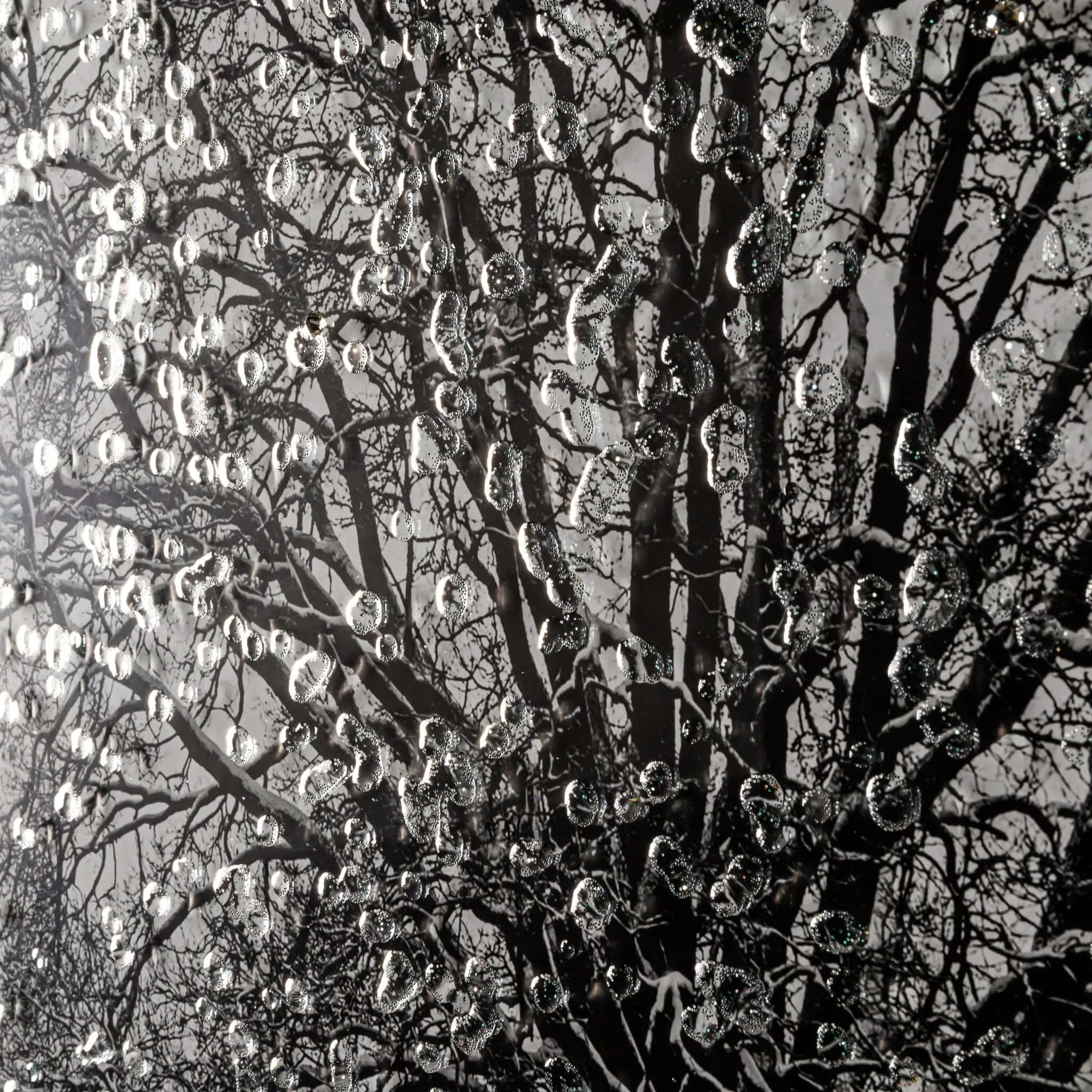 Shh Chrome Winter Tree Framed Picture 6868