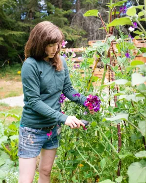Thread Theory Women's Woodley Tee PDF Pattern